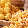 【买2送1，新疆乌苏爆米花玉米】一年一季，颗粒饱满，严格筛选，软糯弹滑，口感微甜玉米粒500克球形原料美式五谷杂粮 商品缩略图1