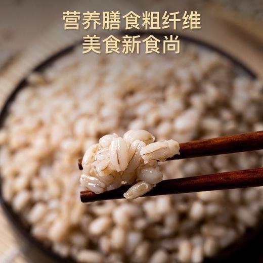 【买2送1，青海高原青稞米】用品质滋养东方人的日常餐桌，千年食养，自有答案！营养膳食粗纤维，五谷杂粮粗粮大米 商品图2