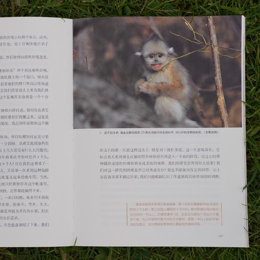 《守望雪山精灵：滇金丝猴科考手记》 商品图11