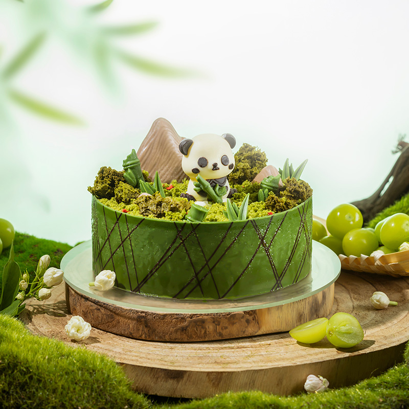 「新品」绿野仙踪--茉莉青提椰香慕斯蛋糕【微景观创意 可爱趣味】