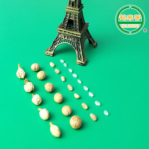 【19.9抢3套！五谷杂粮豆浆包礼盒】营养美味，甄选黄豆、小麦仁、大米、黑芝麻、核桃、紫薯、红枣、燕麦仁、茉莉花、玫瑰花！原料家用现磨熟豆健康低温烘焙 商品图2