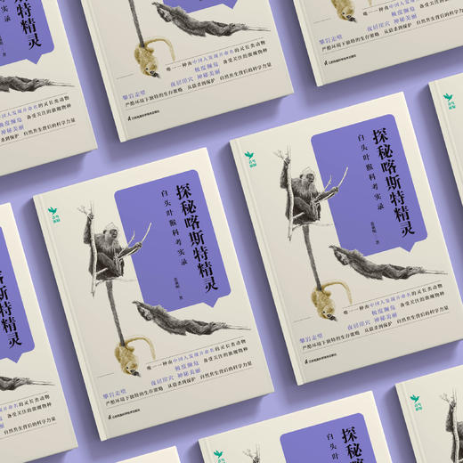《探秘喀斯特精灵：白头叶猴科考实录》 商品图3