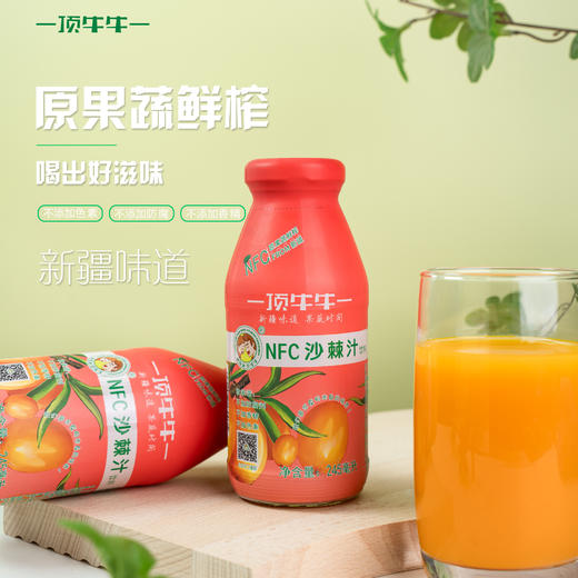 s新疆顶牛牛NFC胡萝卜汁/沙棘汁245ml/瓶 商品图5