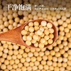 【买2送1，农家黄豆1200g更值】黑龙江黑河产地，农人严选粒粒饱满，营养丰富！真空新货五谷杂粮黄大豆发芽豆浆 商品缩略图2