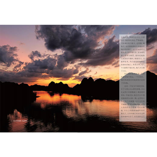 探秘喀斯特精灵——白头叶猴科考实录 商品图5