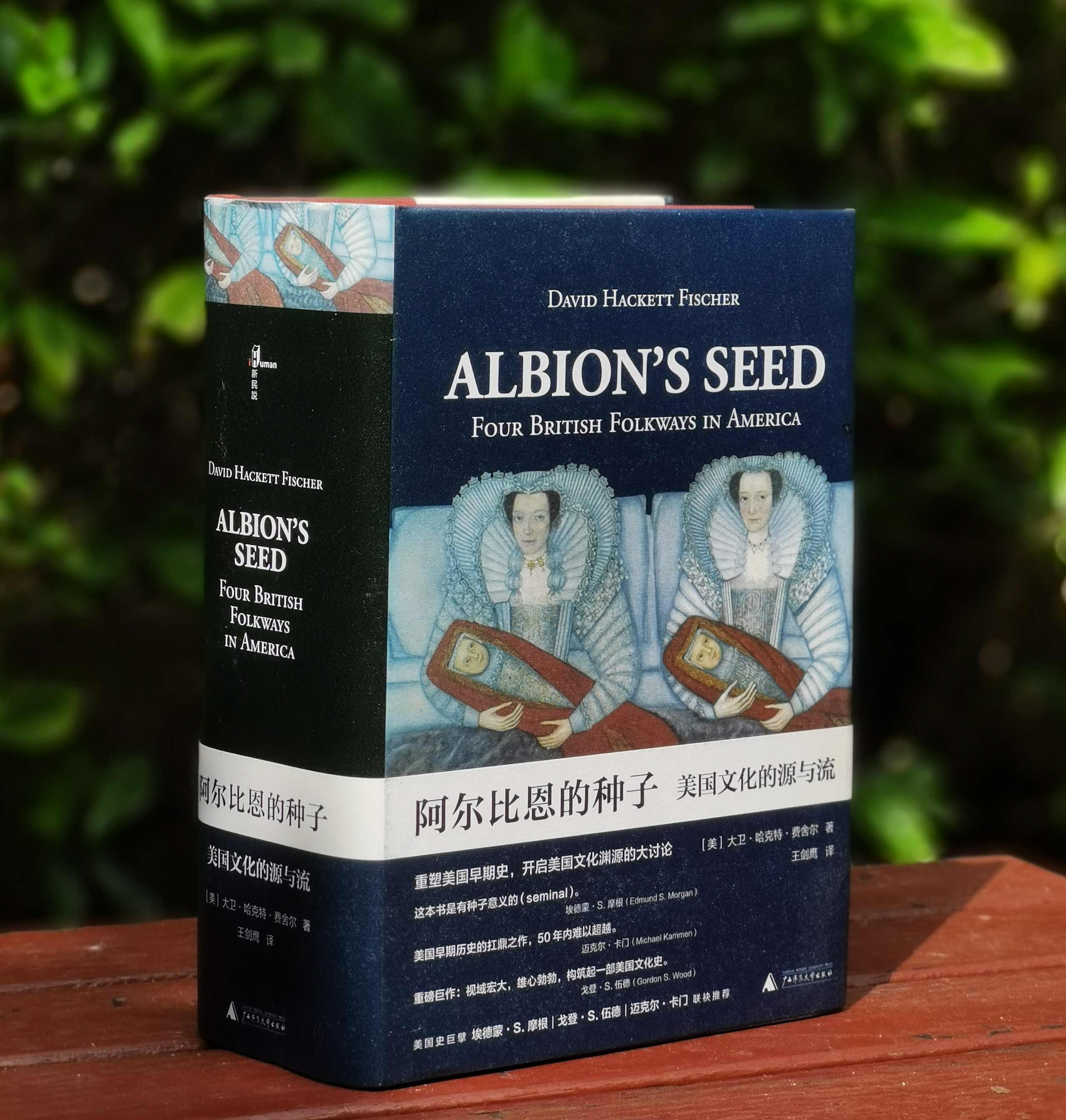 《阿尔比恩的种子：美国文化的源与流》，精装，32开，全2册，[美]大卫.哈克特.费舍尔著，广西师范大学出版社2018年一版一印，1260页，定价198，售价88元。