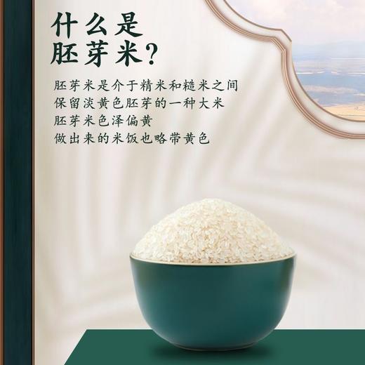 【“有生命的米”！大米鲜胚芽米】农家种植，保留大米胚芽，小胚芽，大营养！粳米谷物米搭配 商品图1