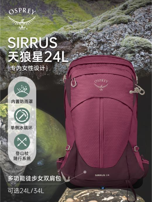 OSPREY SIRRUS 天狼星户外登山运动旅游徒步双肩背包女款 商品图1