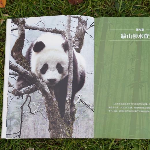 《寻踪国宝：走近大熊猫家族》 商品图12