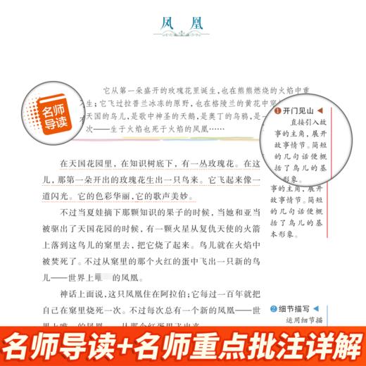 稻草人 美绘版 商品图3
