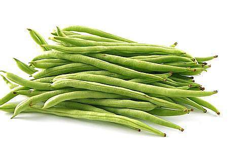 【生鲜预定】 四季豆 商品图0