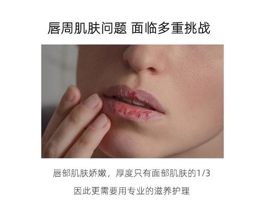 澳莉维亚茶树鲜萃润唇膏10ml/支 护唇膏唇部啫喱 商品图4