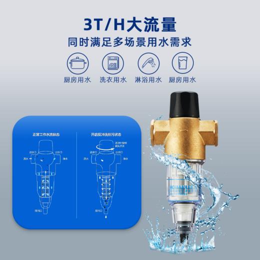 艾可丽 | 阿瑞斯系列-T3 前置过滤器 虹吸反冲洗 不锈钢材质 商品图1