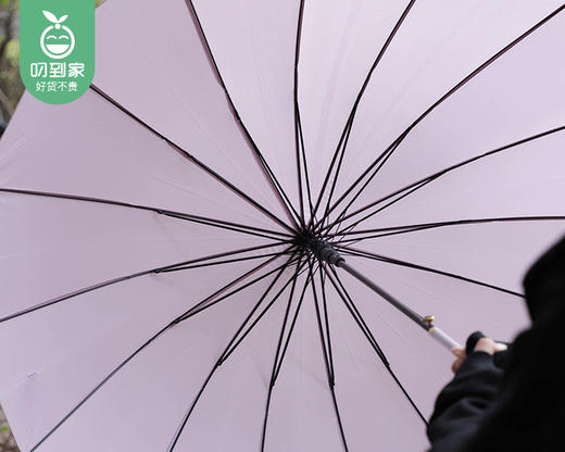 MAYNOS防水套雨伞-丁香紫（1把） 商品图2