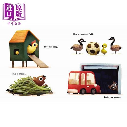 【中商原版】住在树干里的我 I Live in a Tree Trunk 英文原版 儿童韵律绘本 一本搞笑的朗读书 动物图画书 精装进口 4-8岁  商品图4