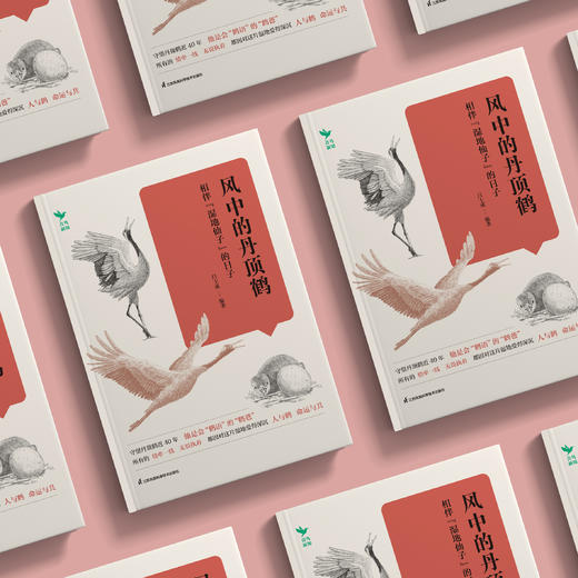 《风中的丹顶鹤：相伴“湿地仙子”的日子》 商品图2