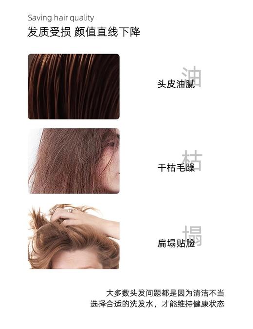 【澳莉维亚洗护系列】茶树净透控油洗发水200ml/菁萃沐浴乳200ml/精华身体乳200ml 商品图3