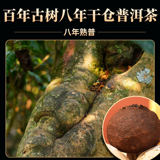【古树柑普】买1送1共500g 商品图3