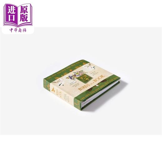 【中商原版】小鸟之书立体书 Birds in a Book 英文原版 Rachel Grant 生活休闲 童书 商品图2
