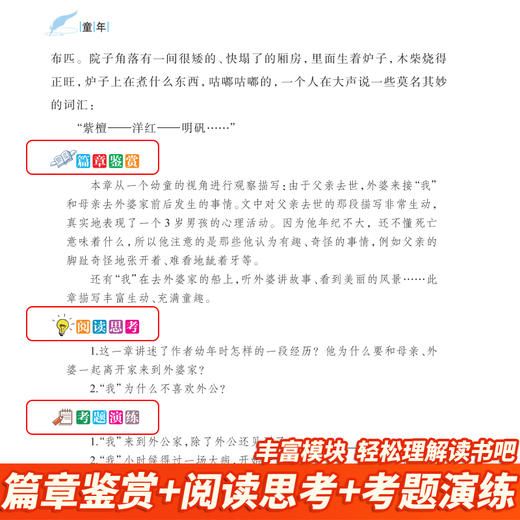 《小英雄雨来》《童年》《爱的教育》 美绘版(全3册) 商品图1