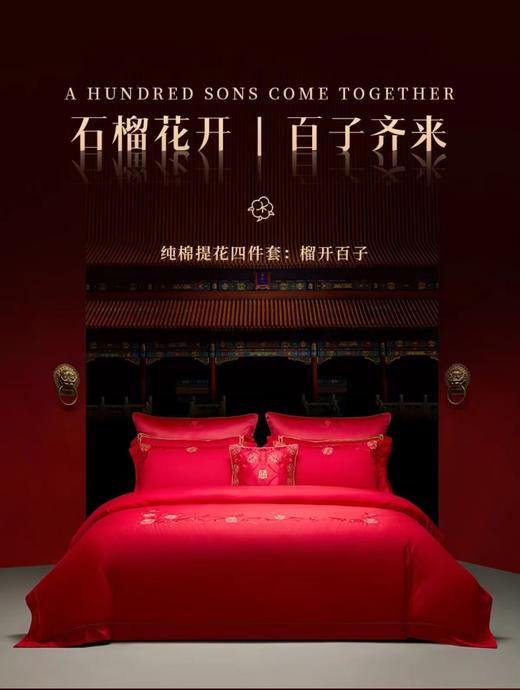 梦洁纯棉提花四件套 榴开百子 1010101813 商品图0