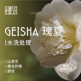 云澜庄园 精品咖啡生豆 瑰夏  水洗 1KG（该产品仅售3KG以内生豆产品，如需更多重量分开下单即可）（此商品不包邮，如需顺丰，需额外联系客服改运费价格）