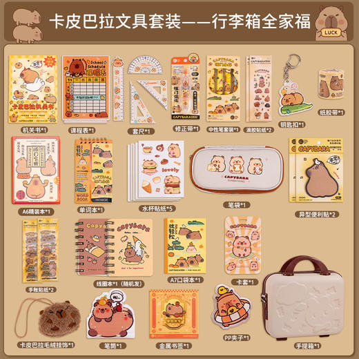 【六一儿童节！文具大礼包！】六一儿童节礼物！女孩男孩伴手礼礼品！皮巴拉文具套装！种类齐全！颜值拉满！给孩子一个快乐的六一！-ET02 商品图5