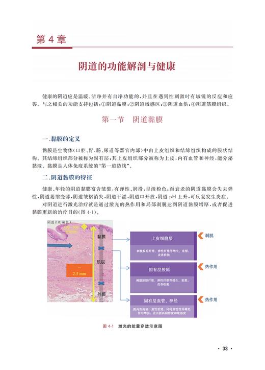 生殖器整形综合培训教材 朱晓海 女性生殖器官整形外科学技术培训 私密检查检测评估治疗方法9787830054236中华医学电子音像出版社 商品图3