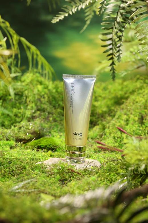 今植氨基酸净润洁面乳 商品图2