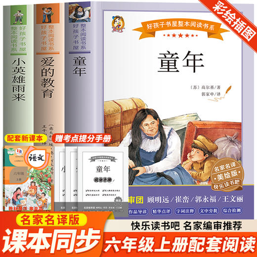 《小英雄雨来》《童年》《爱的教育》 美绘版(全3册) 商品图0
