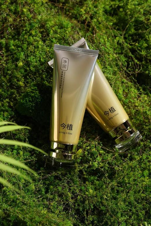 今植氨基酸净润洁面乳 商品图1