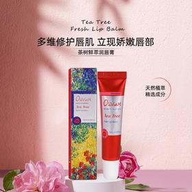 澳莉维亚茶树鲜萃润唇膏10ml/支 护唇膏唇部啫喱