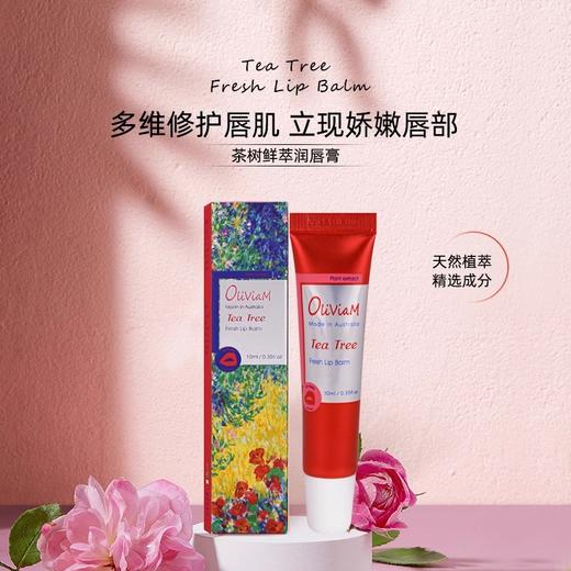 澳莉维亚茶树鲜萃润唇膏10ml/支 护唇膏唇部啫喱 商品图0
