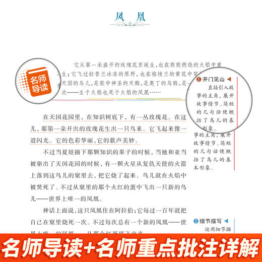 稻草人 美绘版 商品图2