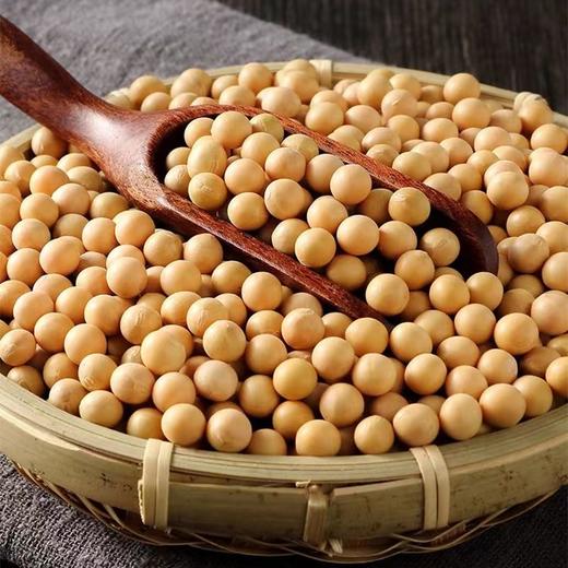 【买2送1，农家黄豆1200g更值】黑龙江黑河产地，农人严选粒粒饱满，营养丰富！真空新货五谷杂粮黄大豆发芽豆浆 商品图1