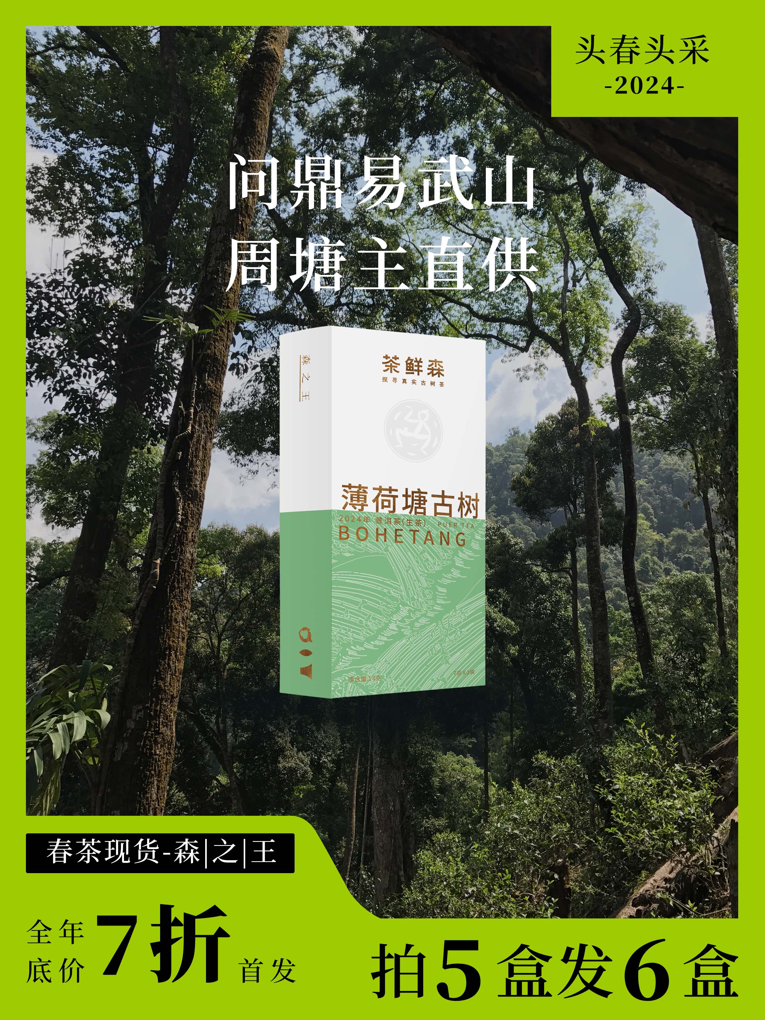 2024薄荷塘古树 春茶7折现货 普洱茶生茶 14g/盒