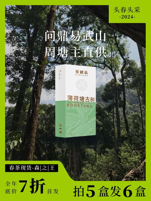 2024薄荷塘古树 春茶7折现货 普洱茶生茶 14g/盒 商品图0