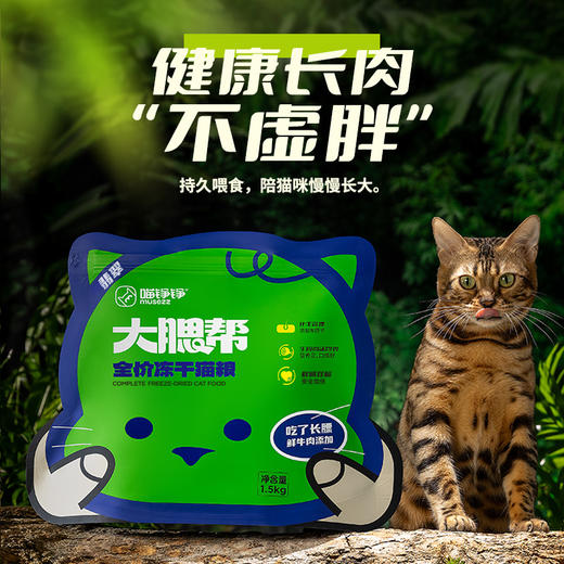 心选丨【翡翠版】喵铮铮大腮帮全价冻干猫粮 3斤/包鲜牛肉生骨肉沫猫粮 商品图5