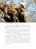 《探秘喀斯特精灵：白头叶猴科考实录》 商品缩略图7