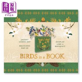 【中商原版】小鸟之书立体书 Birds in a Book 英文原版 Rachel Grant 生活休闲 童书