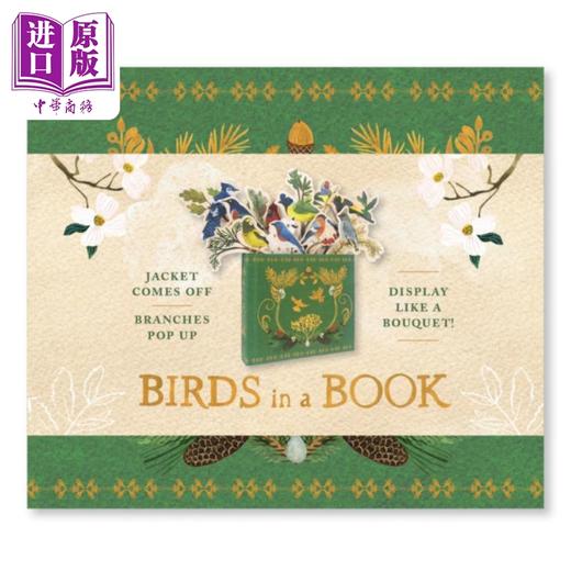【中商原版】小鸟之书立体书 Birds in a Book 英文原版 Rachel Grant 生活休闲 童书 商品图0