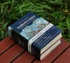 《阿尔比恩的种子：美国文化的源与流》，精装，32开，全2册，[美]大卫.哈克特.费舍尔著，广西师范大学出版社2018年一版一印，1260页，定价198，售价88元。 商品缩略图1
