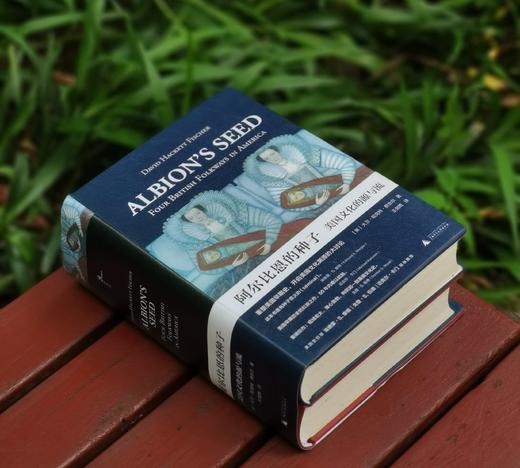 《阿尔比恩的种子：美国文化的源与流》，精装，32开，全2册，[美]大卫.哈克特.费舍尔著，广西师范大学出版社2018年一版一印，1260页，定价198，售价88元。 商品图1