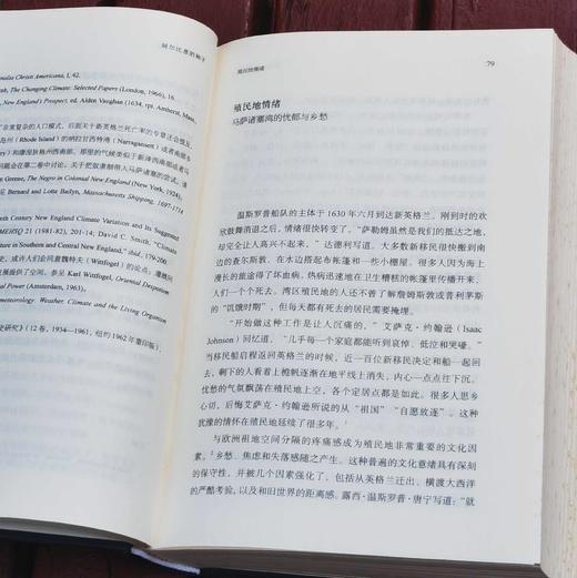 《阿尔比恩的种子：美国文化的源与流》，精装，32开，全2册，[美]大卫.哈克特.费舍尔著，广西师范大学出版社2018年一版一印，1260页，定价198，售价88元。 商品图8