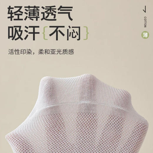 春夏纯色抗菌防臭透气5A级运动网船袜短袜【6双盒装】 商品图11