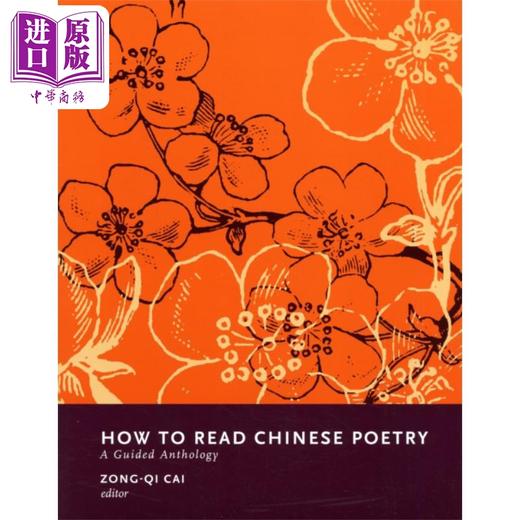 【中商原版】如何读中国诗歌 导读集 How to Read Chinese Poetry 英文原版 Zong qi Cai 蔡宗琪 经典文学 商品图0