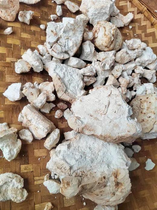 茯苓|云南永仁深山 商品图4