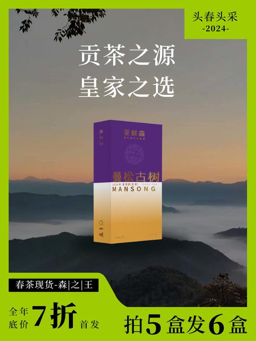 2024曼松古树 春茶7折现货 普洱茶生茶 14g/盒 商品图0