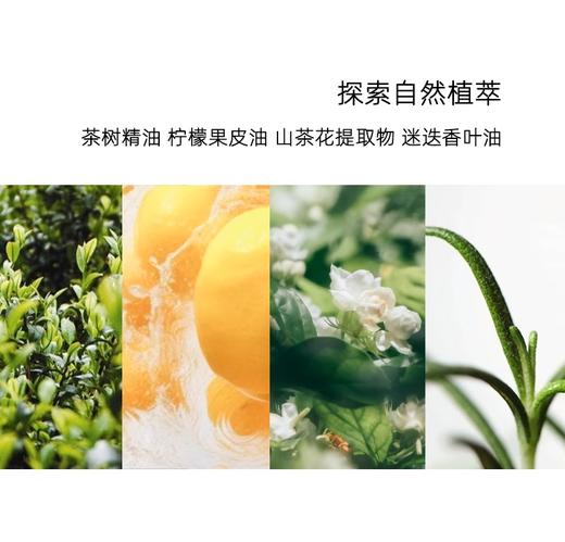 【澳莉维亚洗护系列】茶树净透控油洗发水200ml/菁萃沐浴乳200ml/精华身体乳200ml 商品图8