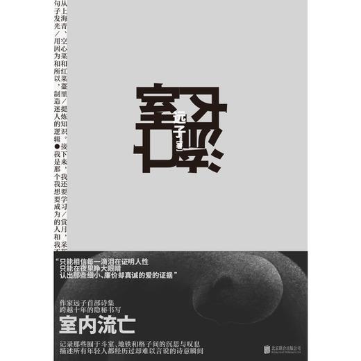 室内流亡 远子 首部诗集 商品图1